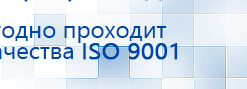Электроды Скэнар -  двойной овал 55х90 мм купить в Старой Купавне, Электроды Скэнар купить в Старой Купавне, Дэнас официальный сайт denasolm.ru