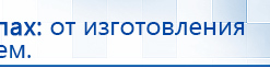 Электроды Скэнар -  двойной овал 55х90 мм купить в Старой Купавне, Электроды Скэнар купить в Старой Купавне, Дэнас официальный сайт denasolm.ru